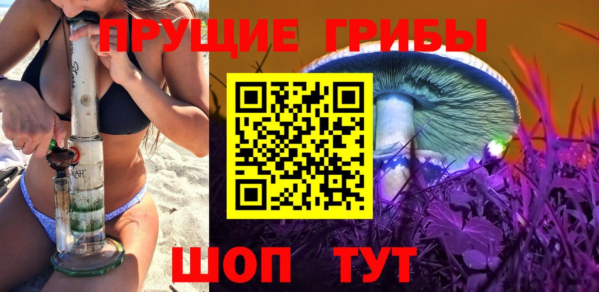 Елизово  Псилоцибиновые грибы Psilocybine cubensis  Галлюциногенные грибы MAGIC MUSHROOMS  Вход с VPN 